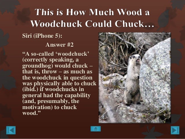 Can woodchucks chuck wood